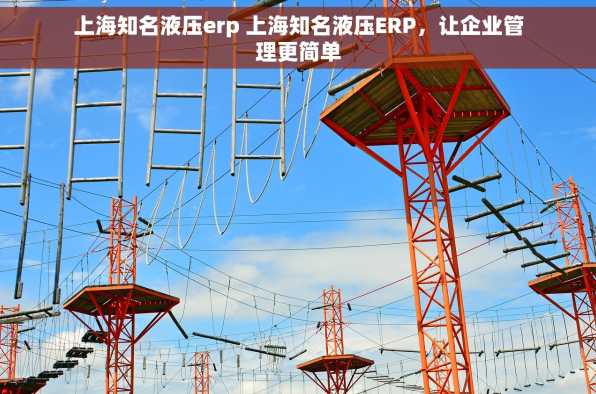 上海知名液压erp 上海知名液压ERP，让企业管理更简单