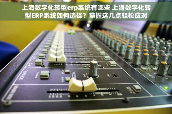 上海数字化转型erp系统有哪些 上海数字化转型ERP系统如何选择？掌握这几点轻松应对
