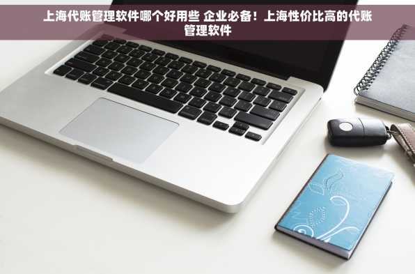 上海代账管理软件哪个好用些 企业必备！上海性价比高的代账管理软件