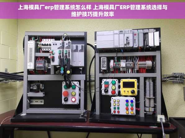 上海模具厂erp管理系统怎么样 上海模具厂ERP管理系统选择与维护技巧提升效率