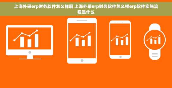 上海外采erp财务软件怎么样啊 上海外采erp财务软件怎么样erp软件实施流程是什么