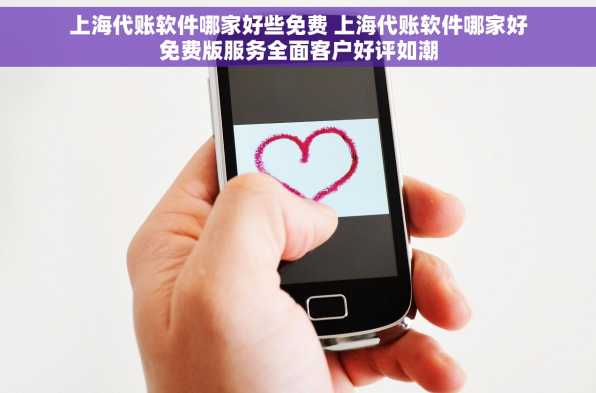 上海代账软件哪家好些免费 上海代账软件哪家好免费版服务全面客户好评如潮
