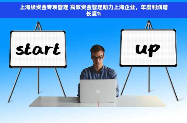 上海级资金专项管理 高效资金管理助力上海企业，年度利润增长超%
