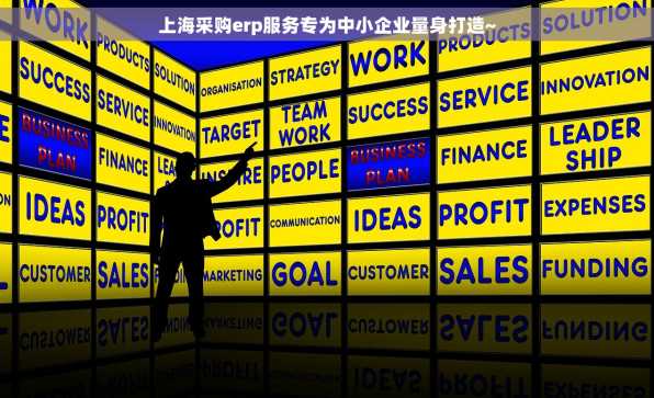 上海采购erp服务专为中小企业量身打造~