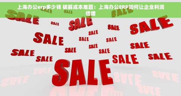 上海办公erp多少钱 破解成本难题：上海办公ERP如何让企业利润倍增
