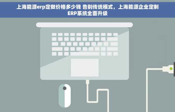上海能源erp定做价格多少钱 告别传统模式，上海能源企业定制ERP系统全面升级