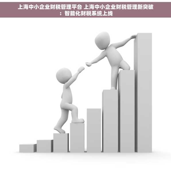 上海中小企业财税管理平台 上海中小企业财税管理新突破：智能化财税系统上线