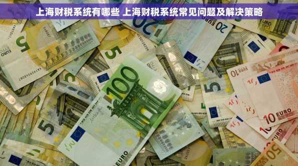 上海财税系统有哪些 上海财税系统常见问题及解决策略