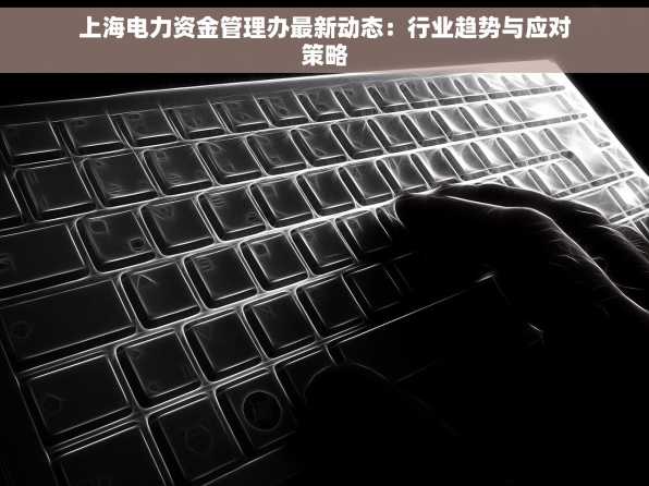 上海电力资金管理办最新动态：行业趋势与应对策略