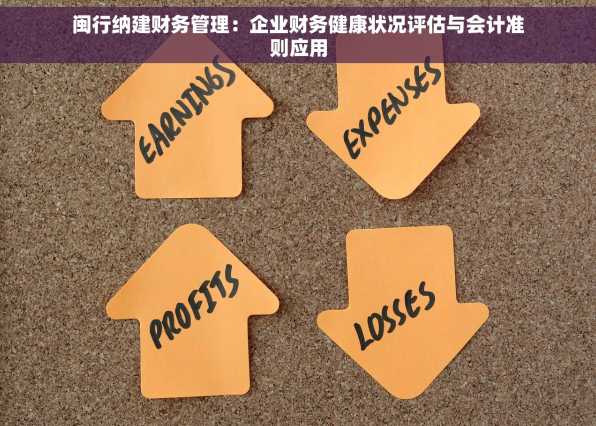 闽行纳建财务管理：企业财务健康状况评估与会计准则应用