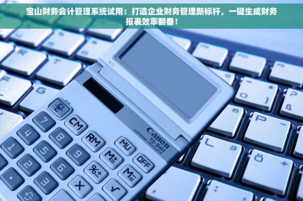 宝山财务会计管理系统试用：打造企业财务管理新标杆，一键生成财务报表效率翻番！