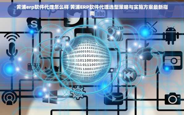 黄浦erp软件代理怎么样 黄浦ERP软件代理选型策略与实施方案最新指南
