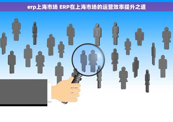 erp上海市场 ERP在上海市场的运营效率提升之道