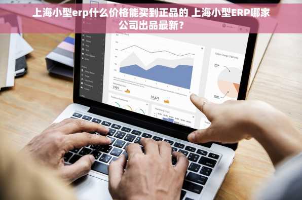 上海小型erp什么价格能买到正品的 上海小型ERP哪家公司出品最新？