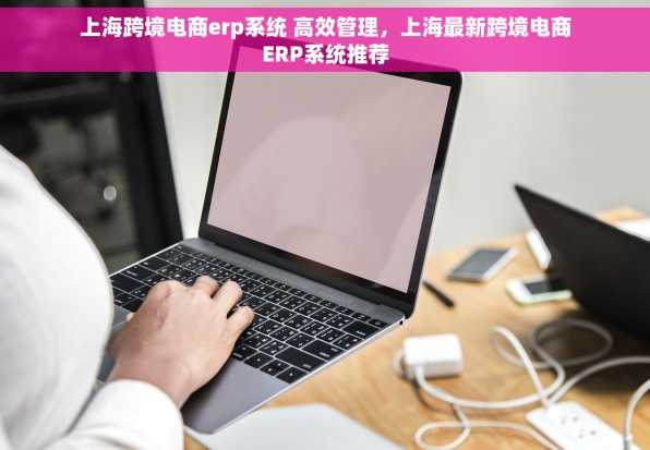 上海跨境电商erp系统 高效管理，上海最新跨境电商ERP系统推荐