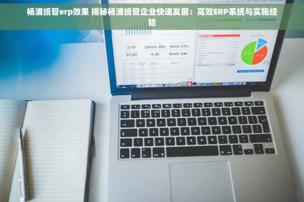 杨浦纸管erp效果 揭秘杨浦纸管企业快速发展：高效ERP系统与实施经验