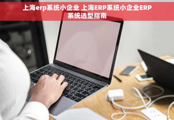 上海erp系统小企业 上海ERP系统小企业ERP系统选型指南