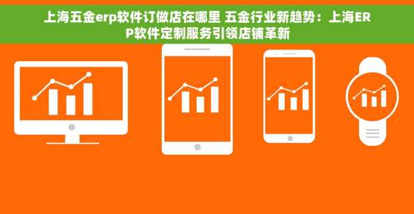 上海五金erp软件订做店在哪里 五金行业新趋势：上海ERP软件定制服务引领店铺革新
