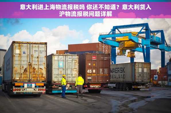 意大利进上海物流报税吗 你还不知道？意大利货入沪物流报税问题详解