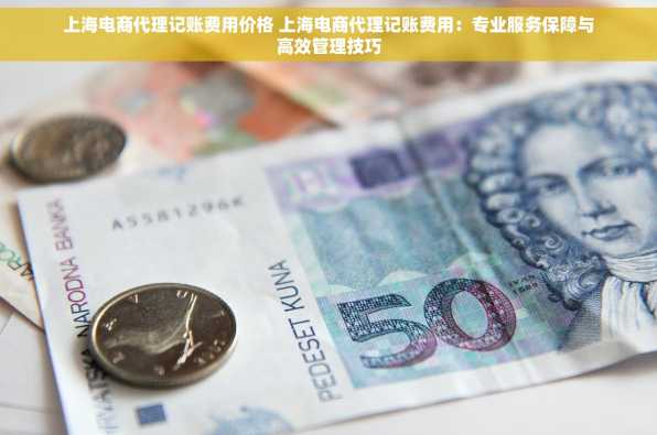 上海电商代理记账费用价格 上海电商代理记账费用：专业服务保障与高效管理技巧