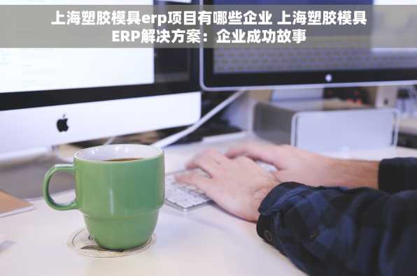 上海塑胶模具erp项目有哪些企业 上海塑胶模具ERP解决方案：企业成功故事