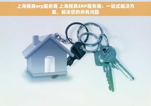上海模具erp服务商 上海模具ERP服务商：一站式解决方案，解决您的所有问题