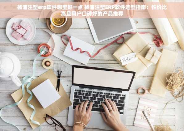杨浦注塑erp软件哪里好一点 杨浦注塑ERP软件选型指南：性价比高且用户口碑好的产品推荐