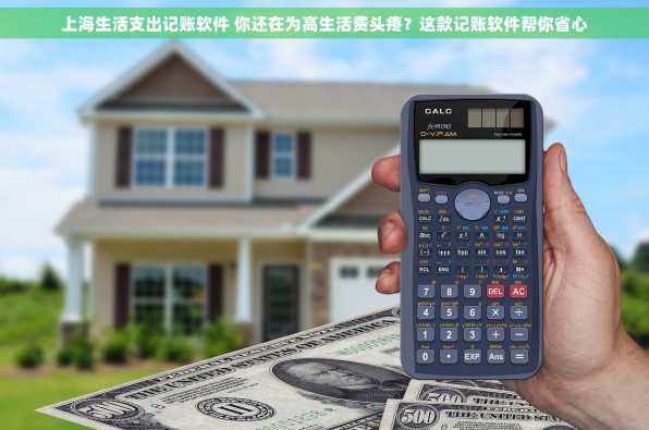 上海生活支出记账软件 你还在为高生活费头疼？这款记账软件帮你省心