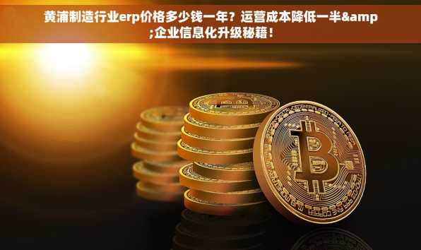 黄浦制造行业erp价格多少钱一年？运营成本降低一半&企业信息化升级秘籍！