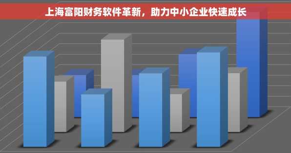 上海富阳财务软件革新，助力中小企业快速成长