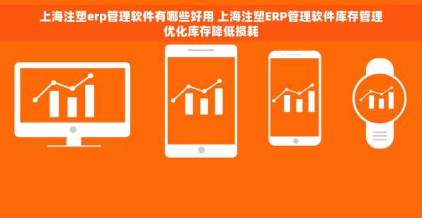 上海注塑erp管理软件有哪些好用 上海注塑ERP管理软件库存管理优化库存降低损耗