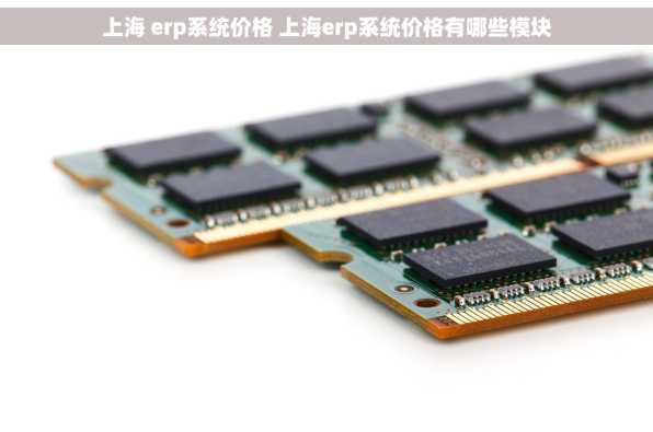 上海 erp系统价格 上海erp系统价格有哪些模块