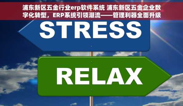 浦东新区五金行业erp软件系统 浦东新区五金企业数字化转型，ERP系统引领潮流——管理利器全面升级