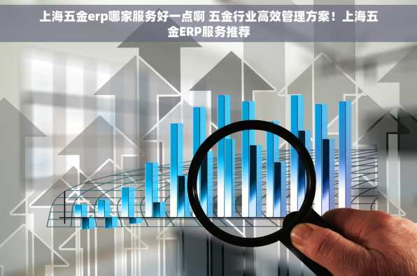 上海五金erp哪家服务好一点啊 五金行业高效管理方案！上海五金ERP服务推荐