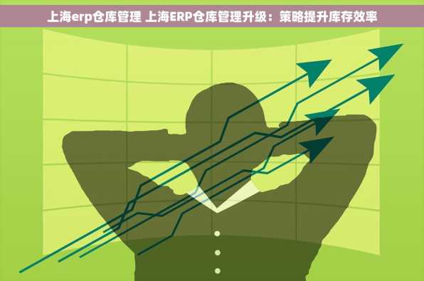 上海erp仓库管理 上海ERP仓库管理升级：策略提升库存效率