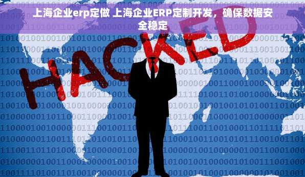 上海企业erp定做 上海企业ERP定制开发，确保数据安全稳定