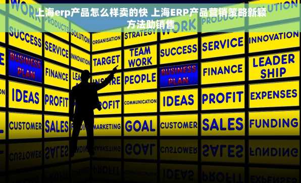 上海erp产品怎么样卖的快 上海ERP产品营销策略新颖方法助销售