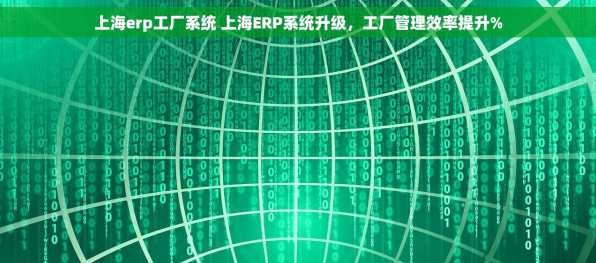 上海erp工厂系统 上海ERP系统升级，工厂管理效率提升%
