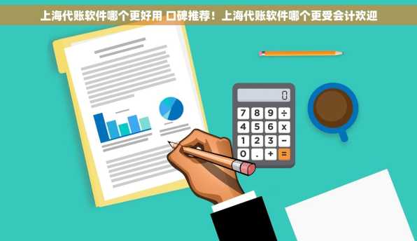 上海代账软件哪个更好用 口碑推荐！上海代账软件哪个更受会计欢迎