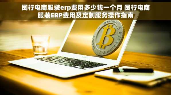 闽行电商服装erp费用多少钱一个月 闽行电商服装ERP费用及定制服务操作指南