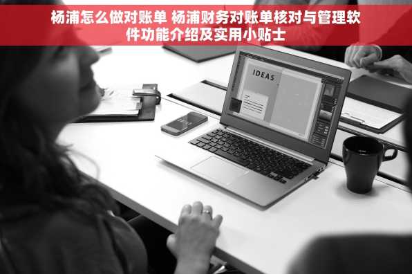 杨浦怎么做对账单 杨浦财务对账单核对与管理软件功能介绍及实用小贴士
