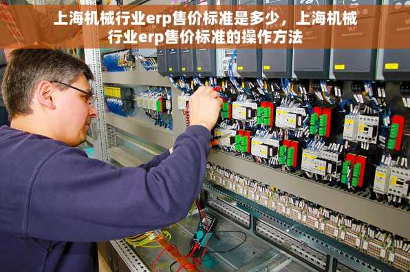 上海机械行业erp售价标准是多少，上海机械行业erp售价标准的操作方法