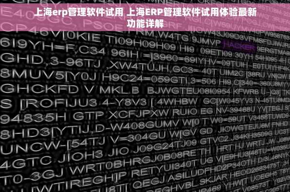 上海erp管理软件试用 上海ERP管理软件试用体验最新功能详解