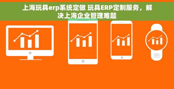 上海玩具erp系统定做 玩具ERP定制服务，解决上海企业管理难题