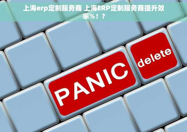 上海erp定制服务商 上海ERP定制服务商提升效率%！?