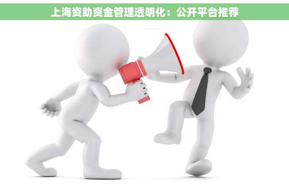 上海资助资金管理透明化：公开平台推荐