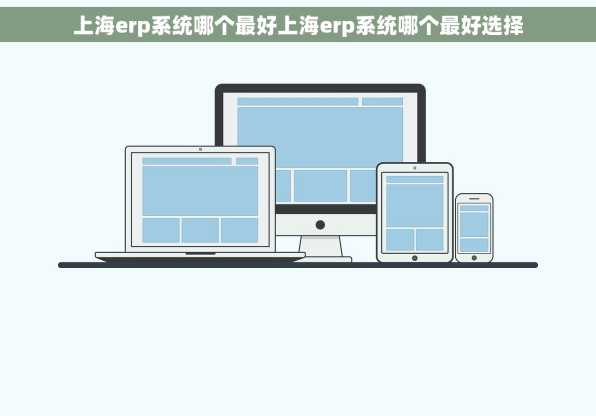 上海erp系统哪个最好上海erp系统哪个最好选择