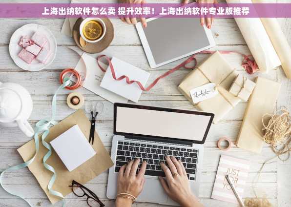 上海出纳软件怎么卖 提升效率！上海出纳软件专业版推荐
