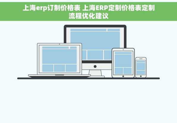 上海erp订制价格表 上海ERP定制价格表定制流程优化建议