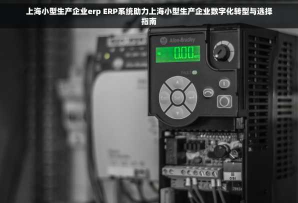 上海小型生产企业erp ERP系统助力上海小型生产企业数字化转型与选择指南